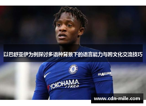 以巴舒亚伊为例探讨多语种背景下的语言能力与跨文化交流技巧
