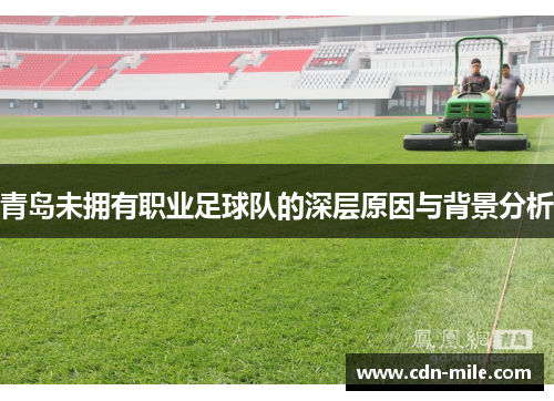 青岛未拥有职业足球队的深层原因与背景分析 青岛未拥有职业足球队的深层原因与背景分析