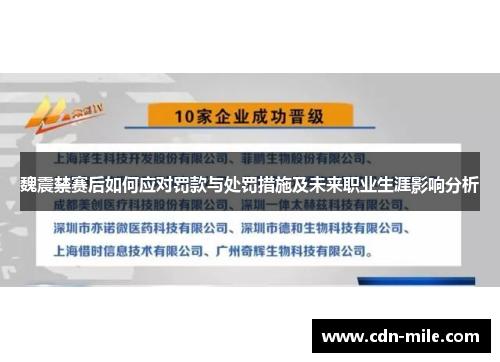 魏震禁赛后如何应对罚款与处罚措施及未来职业生涯影响分析