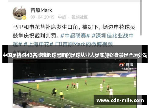 中国足协对43名涉嫌假球黑哨的足球从业人员实施终身禁足严厉处罚 中国足协对43名涉嫌假球黑哨的足球从业人员实施终身禁足严厉处罚