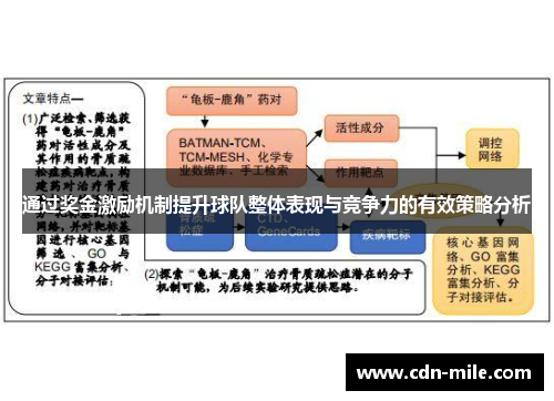 通过奖金激励机制提升球队整体表现与竞争力的有效策略分析