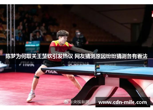陈梦为何取关王楚钦引发热议 网友猜测原因纷纷猜测各有看法 陈梦为何取关王楚钦引发热议 网友猜测原因纷纷猜测各有看法