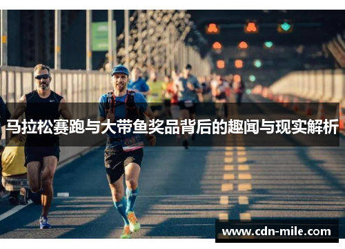 马拉松赛跑与大带鱼奖品背后的趣闻与现实解析